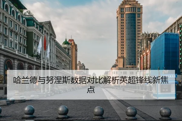 哈兰德与努涅斯数据对比解析英超锋线新焦点